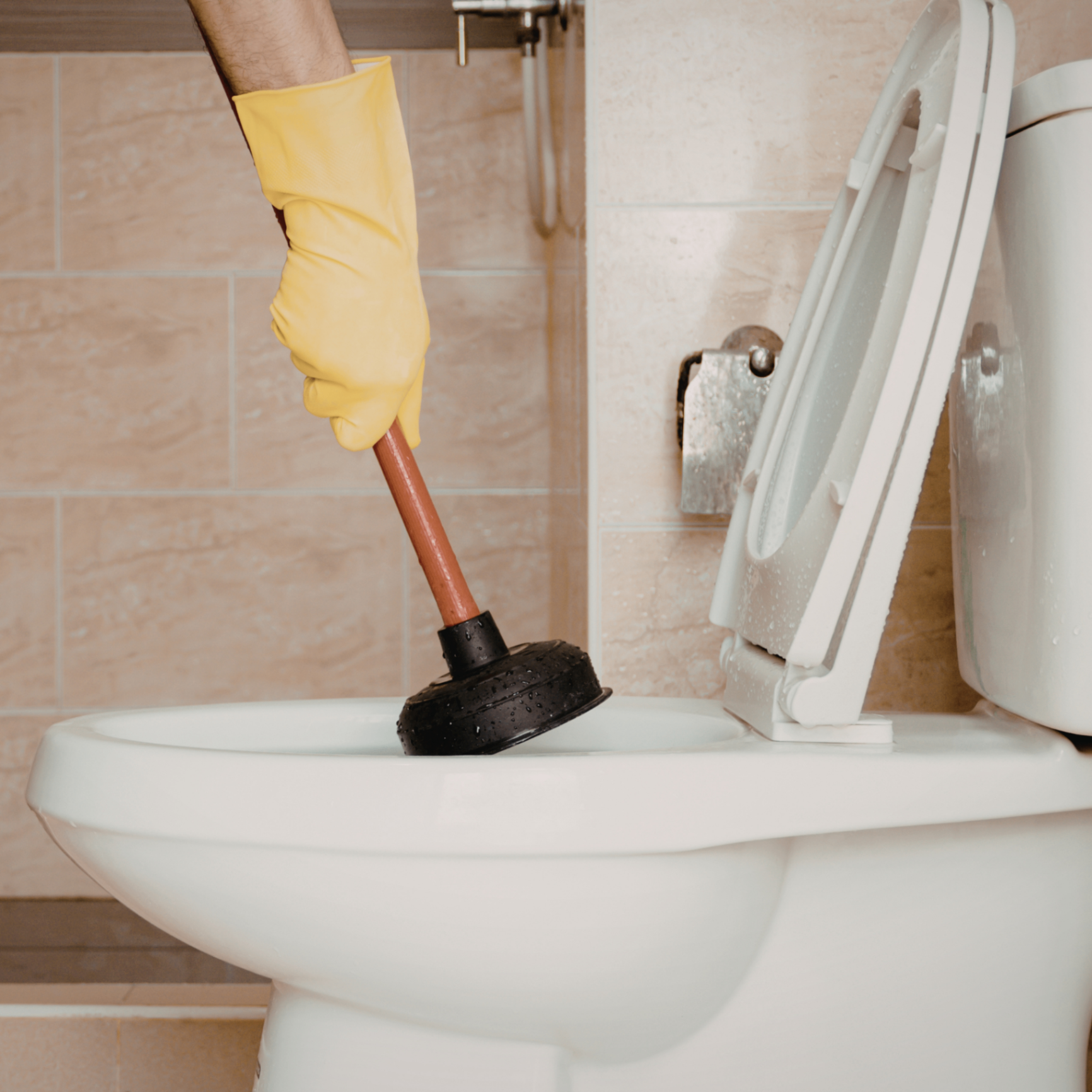 Clogged Toilets