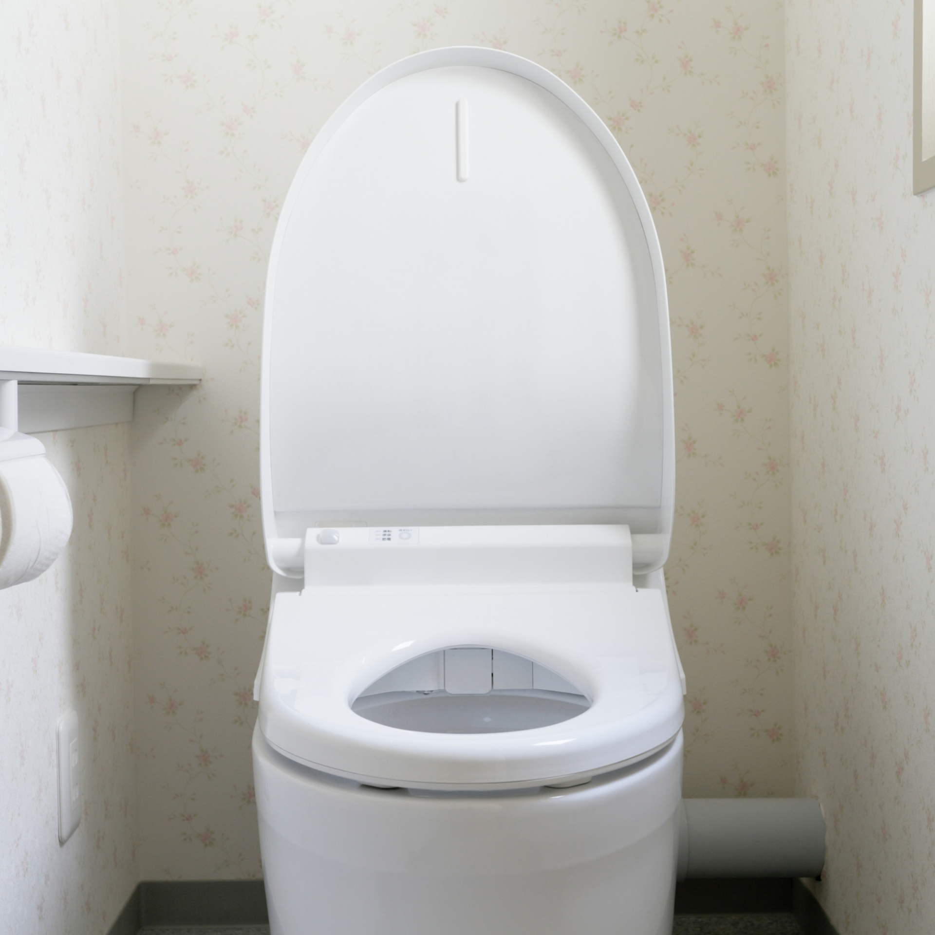 Toilet Replacement